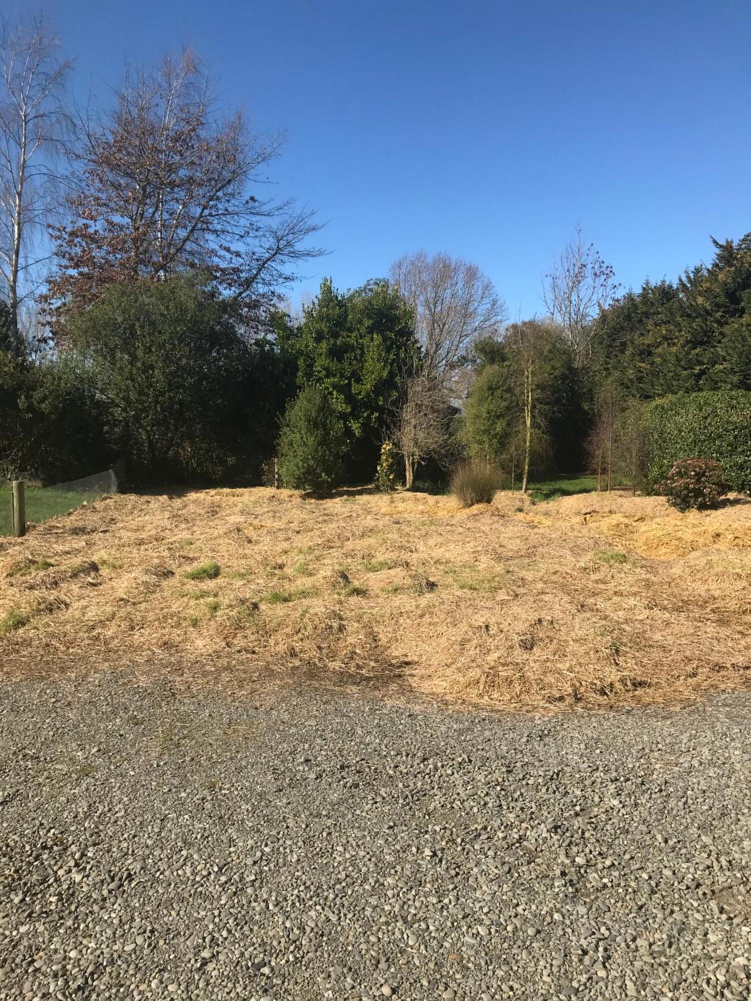 Brookside Country Escape 40 Minutes To Chc Airport Hotel Leeston Luaran gambar